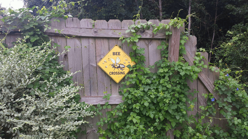 Bee Crossing